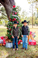 Hernandez Family Winter Mini Session